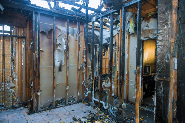 Professional Fire Damage Removal technician working in Blossom, TX